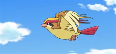 when does pidgeotto learn fly.